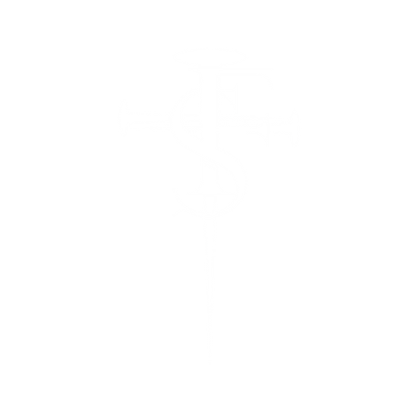 SonicFluxx Merch Store